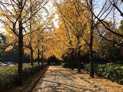 なぜ情報商材は高いのか?