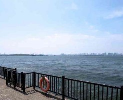 海の風景