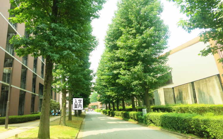 入学案内(オリエンテーション)