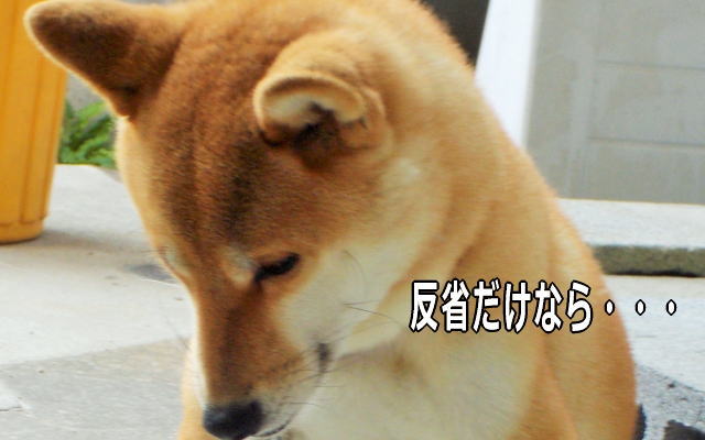 動画削除