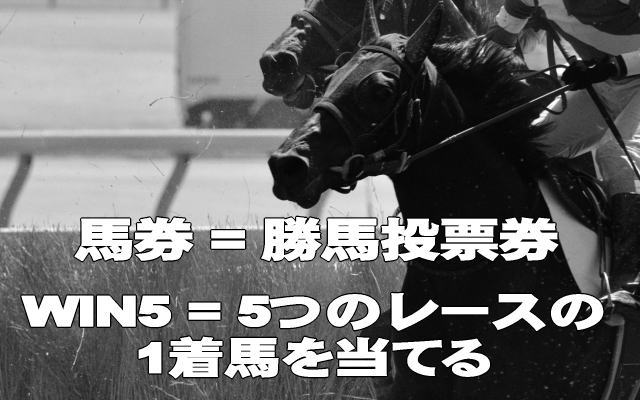 WIN5とはイメージ画像