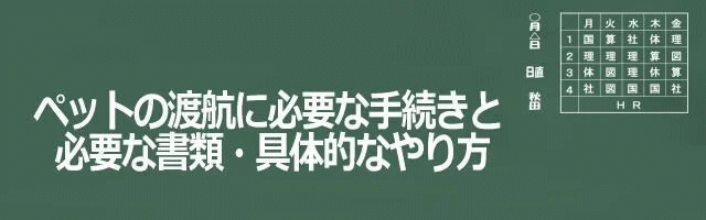 ペットの渡航に必要な手続きと書類と具体的なやり方のイメージ画像