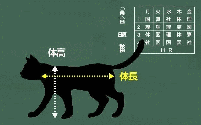 ペットの体長・体高図イメージ画像