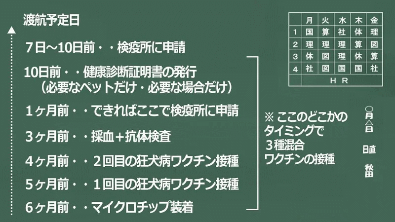 渡航タイムスケジュールの全体の流れイメージ画像