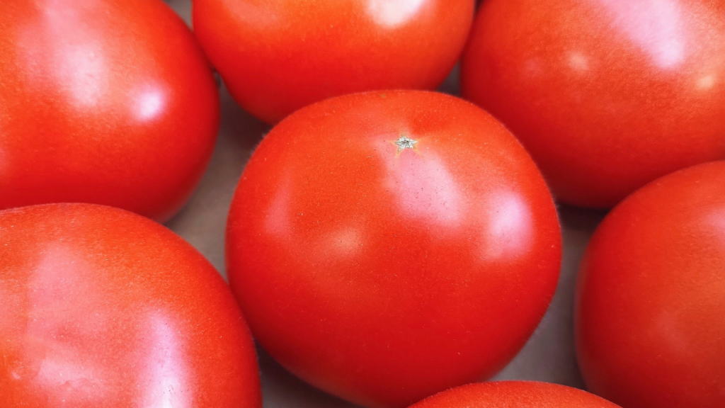 トマトのイメージ画像